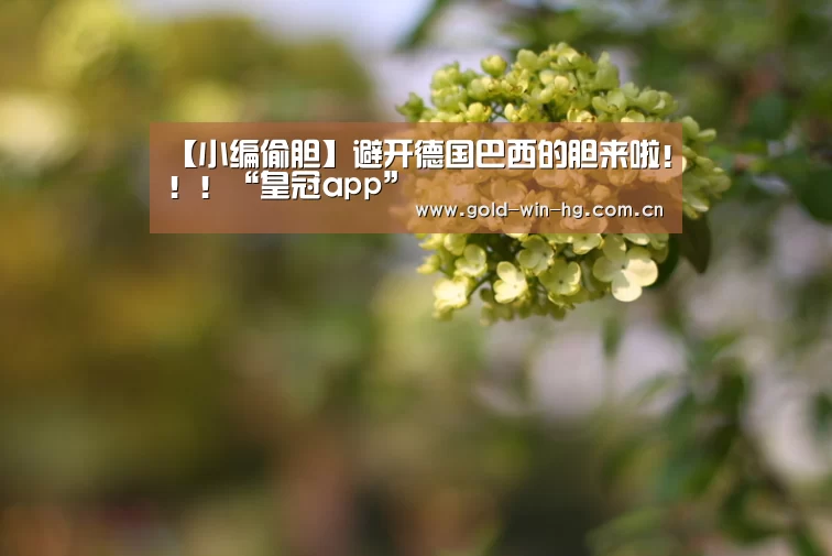 皇冠app