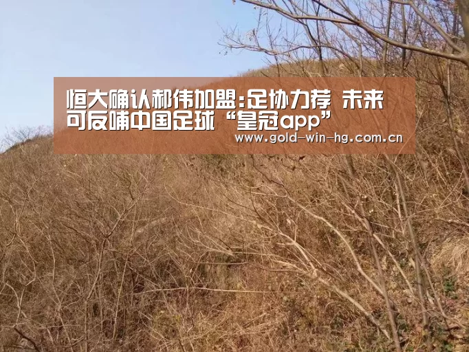 皇冠搏彩app
